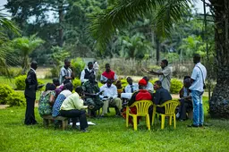 Group of people sit and stand in a circle under a palm tree