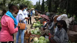 Women sit on the floor with lettuce on tables. Other women stand in front of them.