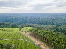 Landscape of fields and forest