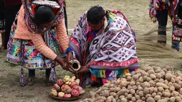Two people pour liquid on a plate of potatoes. 