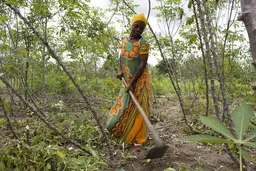 Woman holding a hoe in a field.