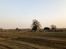 Rural landscape with plants growing in the land. People gather in the background