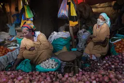 Women sit next to piles of vegetables like onions, tomatoes, garlic.