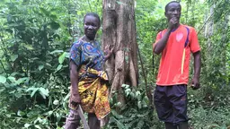 A man and a woman holding a machete stand in front of a tree in a forest