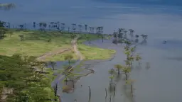 Rising water levels submerge trees and encroach on land