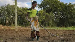Woman waters seedlings