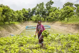 Woman walking through a vegetable garden. A pond behind her. 