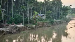 No description available.