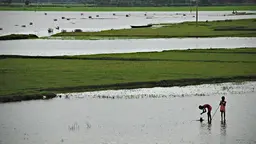 Two children in a flooded field.