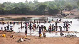 Dozens of people carrying containers collect water on a river bank