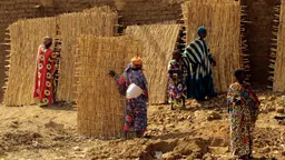 Women with their backs to the camera bind together bamboo panels and lean them against a wall 