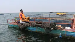 A woman in an orange life jacket sits on the edge of a square pond cage, surrounded by water.