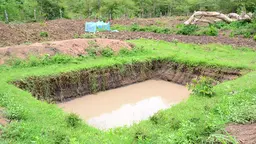 A rectangular pond cut into the ground, surrounded by grass and green plants. Crops are growing in the background.