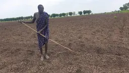 A man hoeing ground that is dry and cracked.