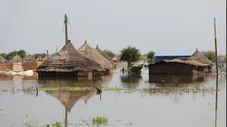 Houses are submerged in water.
