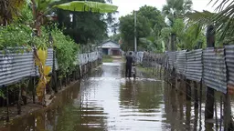 A man walking a bike on a flooded road