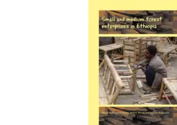 Cover for 13553IIED.pdf