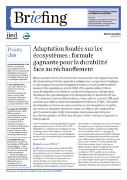 Cover for 17364FIIED.pdf