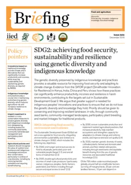 Cover for 17410IIED.pdf