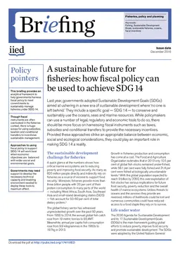 Cover for 17411IIED.pdf