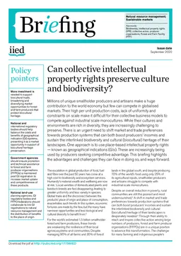 Cover for 17756IIED.pdf