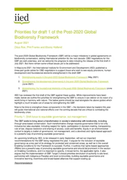 Cover for 20411g.pdf