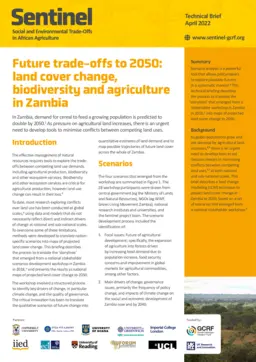 Cover for 20896G.pdf