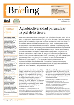 Cover for 21626IIEDES.pdf