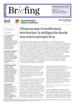 Cover for 21706iiedes.pdf
