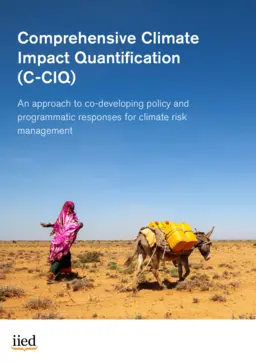 Cover for 22491iied.pdf
