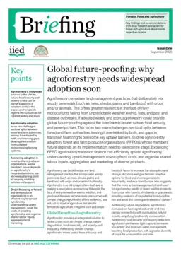 Cover for 22764iied.pdf