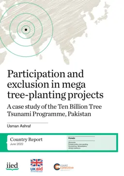 Cover for IIED20996.pdf