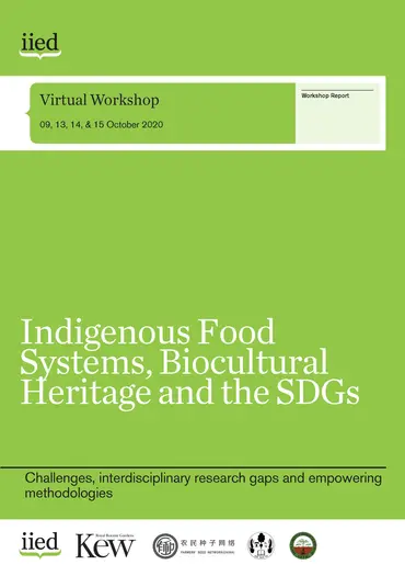 20191iied cover image
