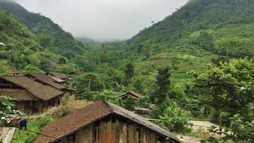 Foggy forest landscape with wooden housing