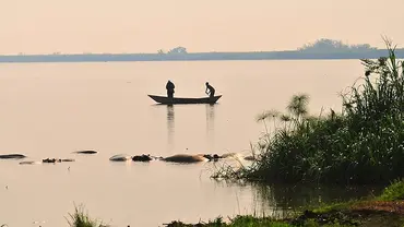 Two people in a boat on a large body of water, next to a group of hippos bathing