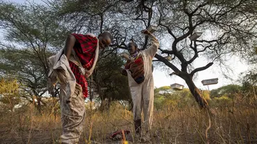 Two people standing putting on beekeeping suits, stand next to a tree.