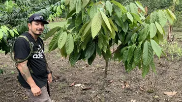 Man standing next to a tree.