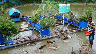 A man stands beside a river and a floating raft on which stand plant pots full of crops.