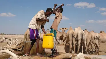 Pastoralists pull water from a well near Denan in the Somali Region of Ethiopia for their camels. (Photo: Andrew Heavens, Creative Commons via Flickr)