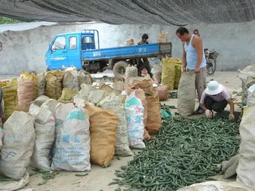 Sales to processor at wholesale market. Photo: Jikun Huang