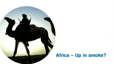The Up in Smoke coalition is a unique and diverse network of development and environment organisations