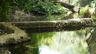 Water is conserved at a devolved climate finance project site in Zanzibar
