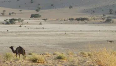 Common land resources are important to rural communities in much of Africa (Photo: Marie Monimart) 