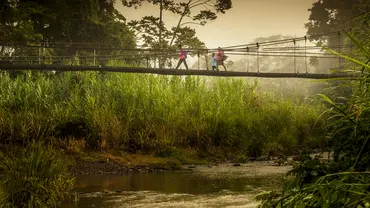 This bridge crossing the Yorkin river in the Sixaola Basin is used daily by local communities, including children on their way to school in the early morning. (Photo: Paul Aragón,©IUCN)