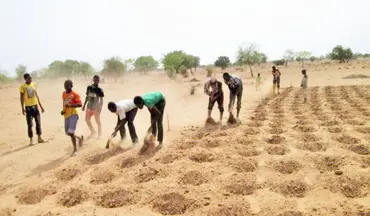 Workers digging zaï pits that help to preserve water on farms (Photo: IUCN)