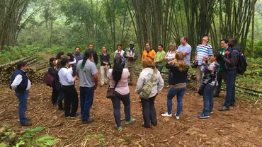 The Forest and Farm Facility is now working with Ecuador forest farm producers such as this bamboo production business
