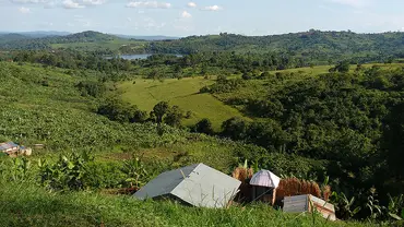 View of a field and a farm.
