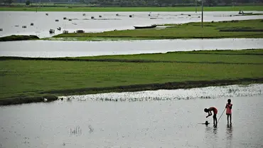 Two children in a flooded field.