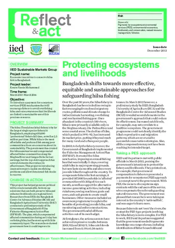 Preview of 17199IIED