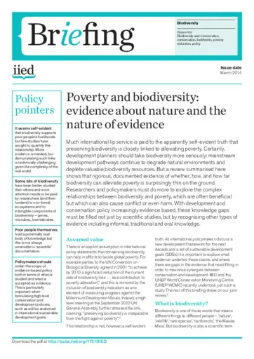 Preview of 17213IIED